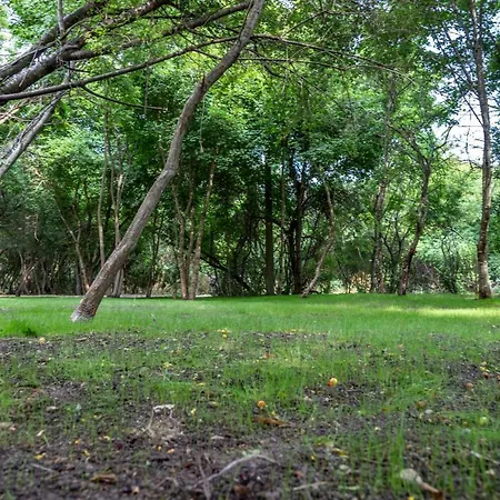 Apartment Ecopark Tuzlata екопарк тузлата Balchik