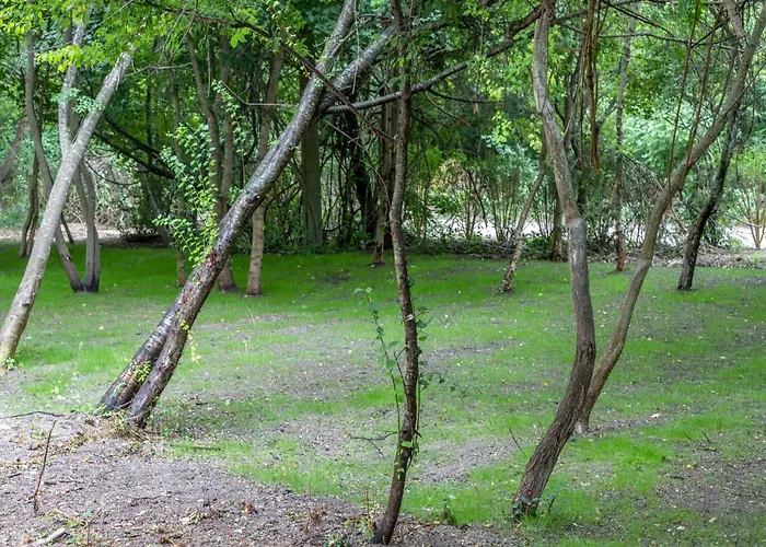 Ecopark Tuzlata екопарк тузлата Lägenhet Baltjik