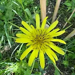 Ecopark Tuzlata екопарк тузлата Apartment