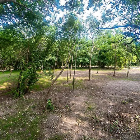 Ecopark Tuzlata екопарк тузлата Appartamento