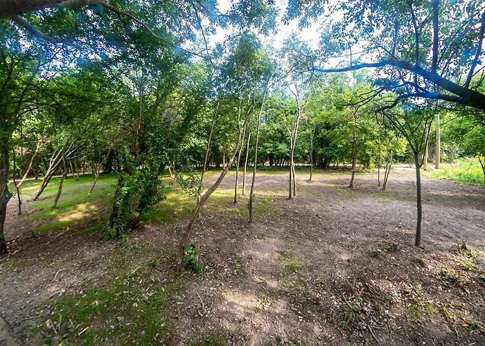 Ecopark Tuzlata екопарк тузлата Апартамент