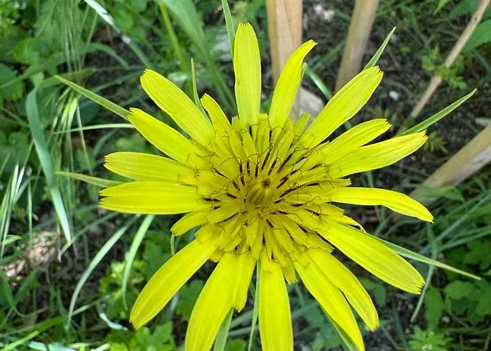 Ecopark Tuzlata екопарк тузлата Апартамент